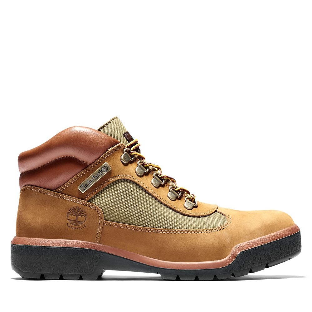 Timberland Mens Sneakers Waterproof Field Boots - Brown - India XG7389612